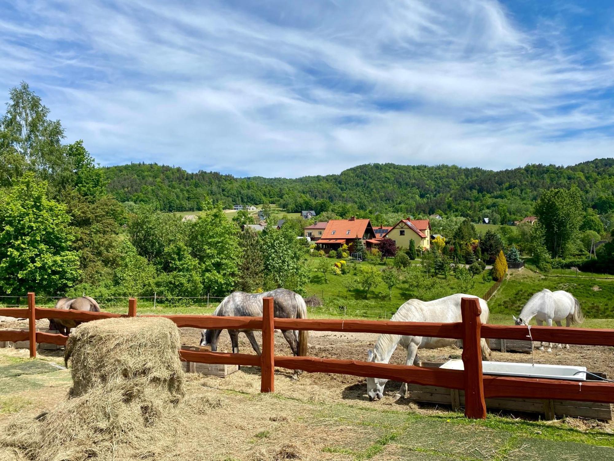 Rancho-Bierna 빌라 외부 사진